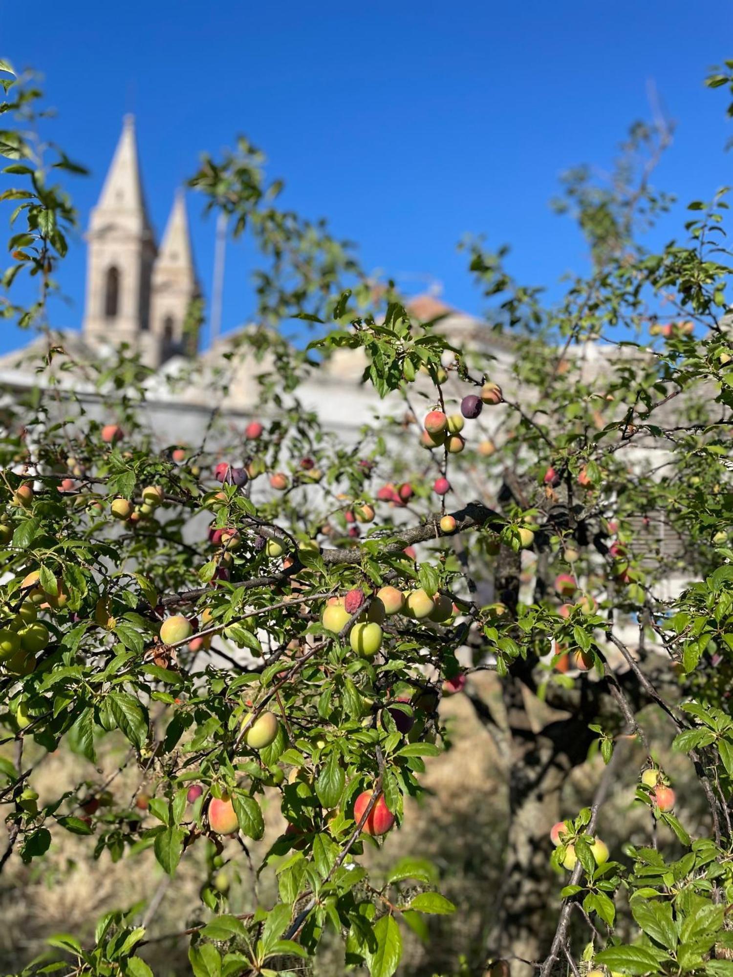 Borganthia - Il Chiostro Dei Medici Hotel Alberobello Kültér fotó